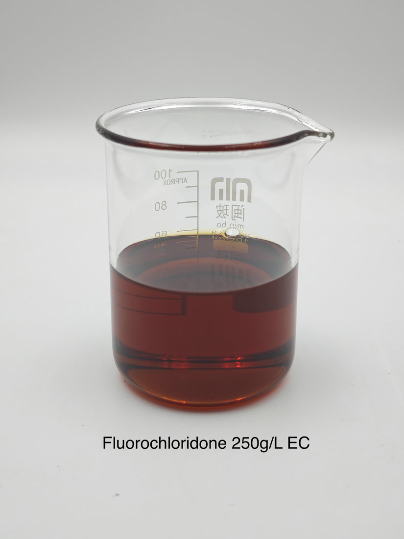 Fluorochloridone 250g/L EC